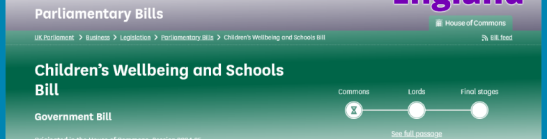 Children’s Wellbeing and Schools Bill 2024